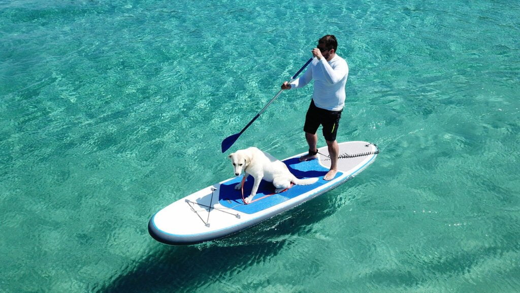 met je hond suppen