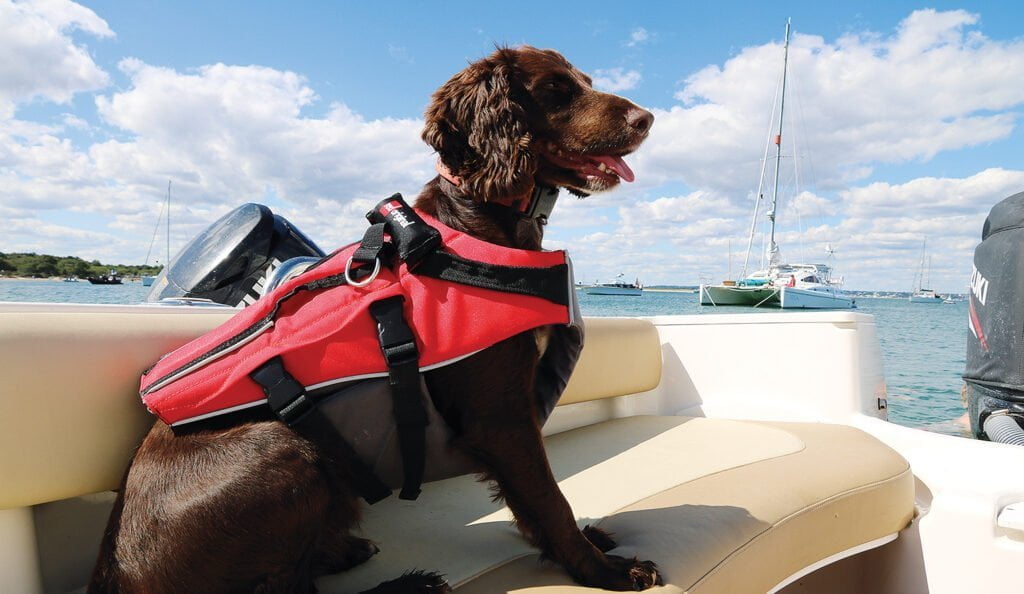 red paddle honden zwemvest