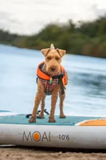 Close-up van Moai 10'6 SUP‑board met hond