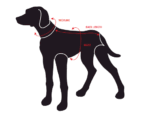 honden zwemvest